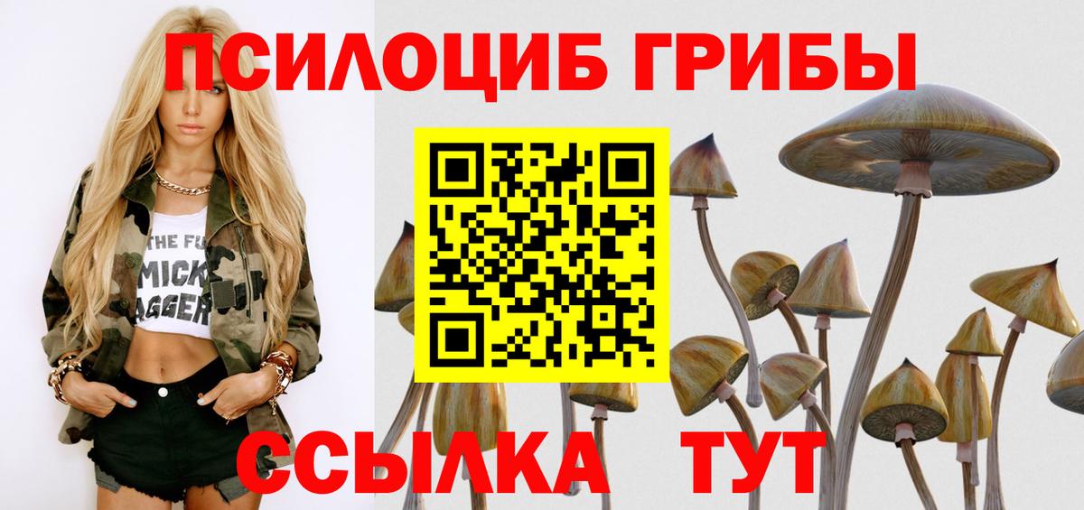 Галлюциногенные грибы GOLDEN TEACHER  Галлюциногенные грибы ЛСД  Сарапул  купить наркоту  Вход с VPN 