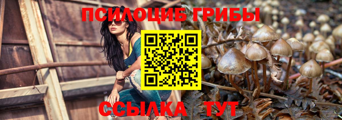 Галлюциногенные грибы ЛСД Сарапул